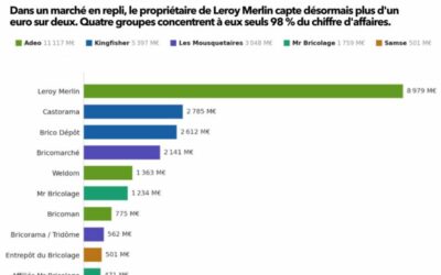 Marché du bricolage : trois ans de recul consécutif et ce que cela change pour les marques